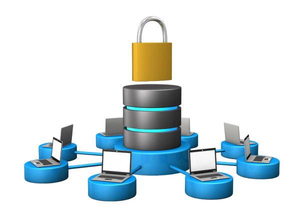 База эталонных рентгенограмм НОВО «ЭТАЛОН – ВГФ» купить по низкой цене | МАКСПРОФИТ